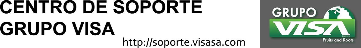 Soporte al Usuario Grupo VISA